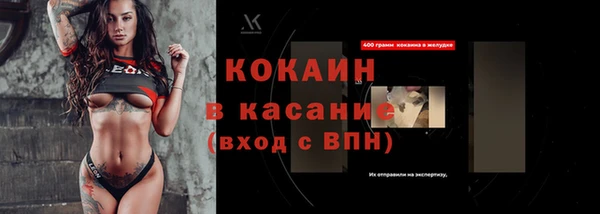 ECSTASY Гусь-Хрустальный